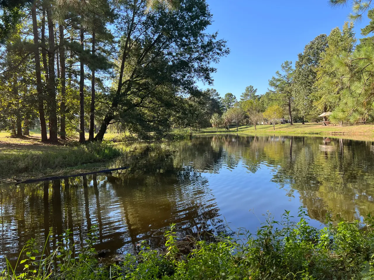 farm rv park pond view